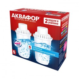 Сменный модуль В5 (В100-5) защита от бактерий (комплект из 2-х штук) в Кирове